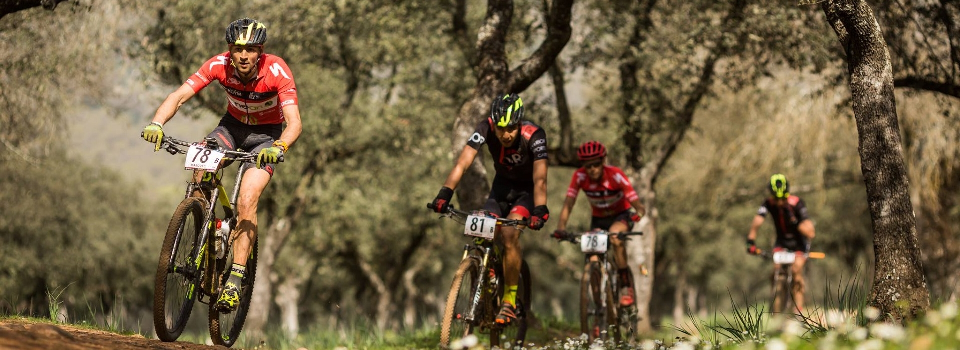 Jaén will host the start of Andalucía Bike Race presented by Caja Rural Jaén